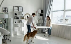 Moving House with Pets