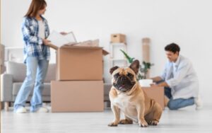 Moving House with Pets